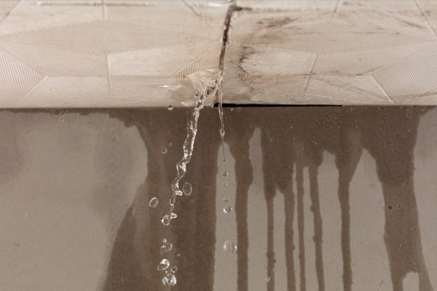 Professional Burst Pipe Cleanup technician working in Mission, TX